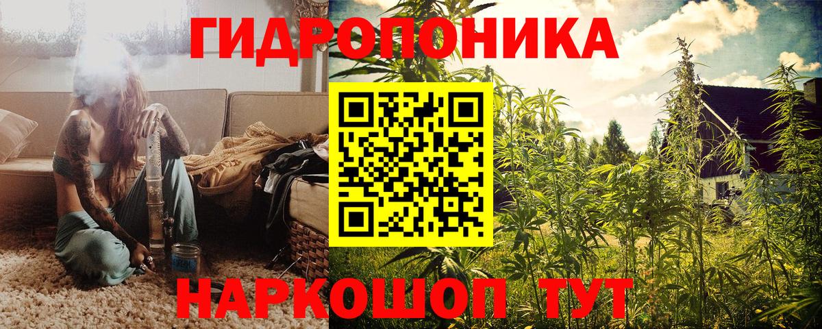 Бошки Шишки семена Свободный